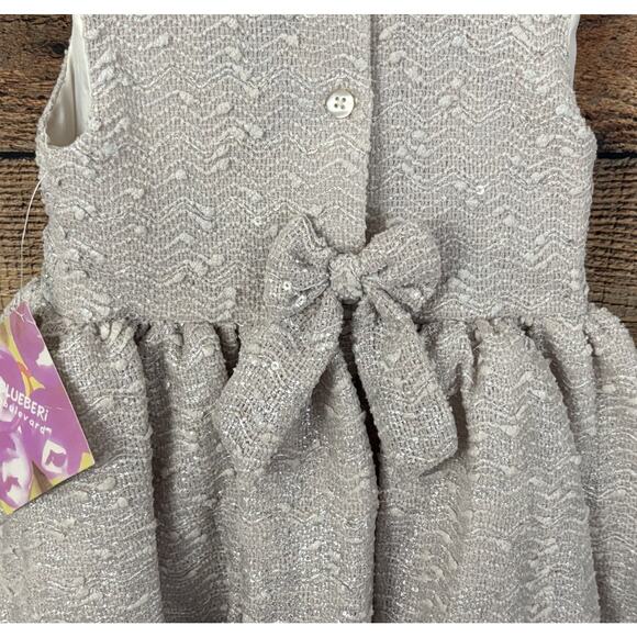 BLUEBERI BOULEVARD Little Girls Sz 4T Sleeveless Bubble Dress Silver NWT Holiday - Picture 6 of 12